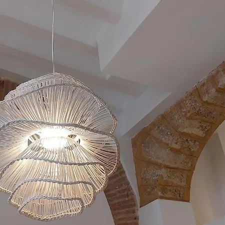 El 2 De Flamenco Bajoa